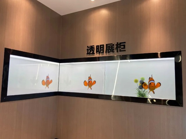 透明展柜